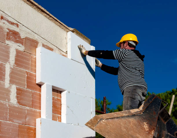 Best Energy Efficiency Solutions in Downers Grove, IL