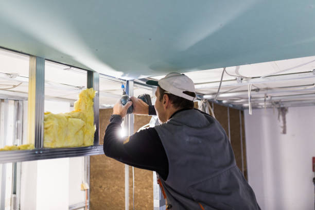 Best Types of Insulation in Downers Grove, IL
