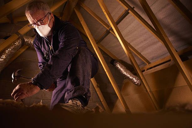Best Insulation for Specific Applications in Downers Grove, IL